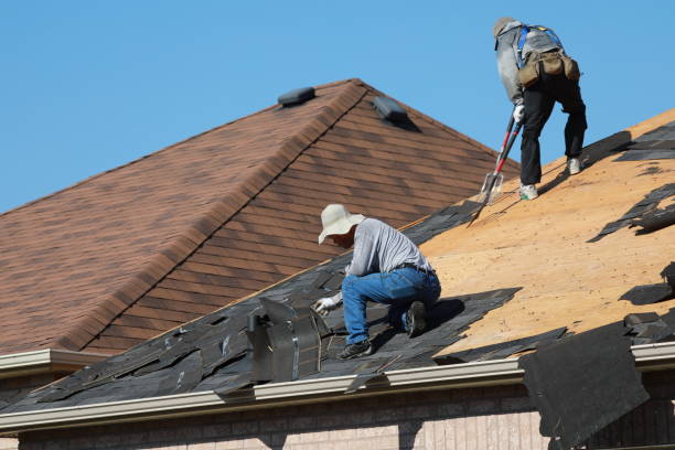 Fast & Reliable Emergency Roof Repairs in Ridge Wood Heights, FL